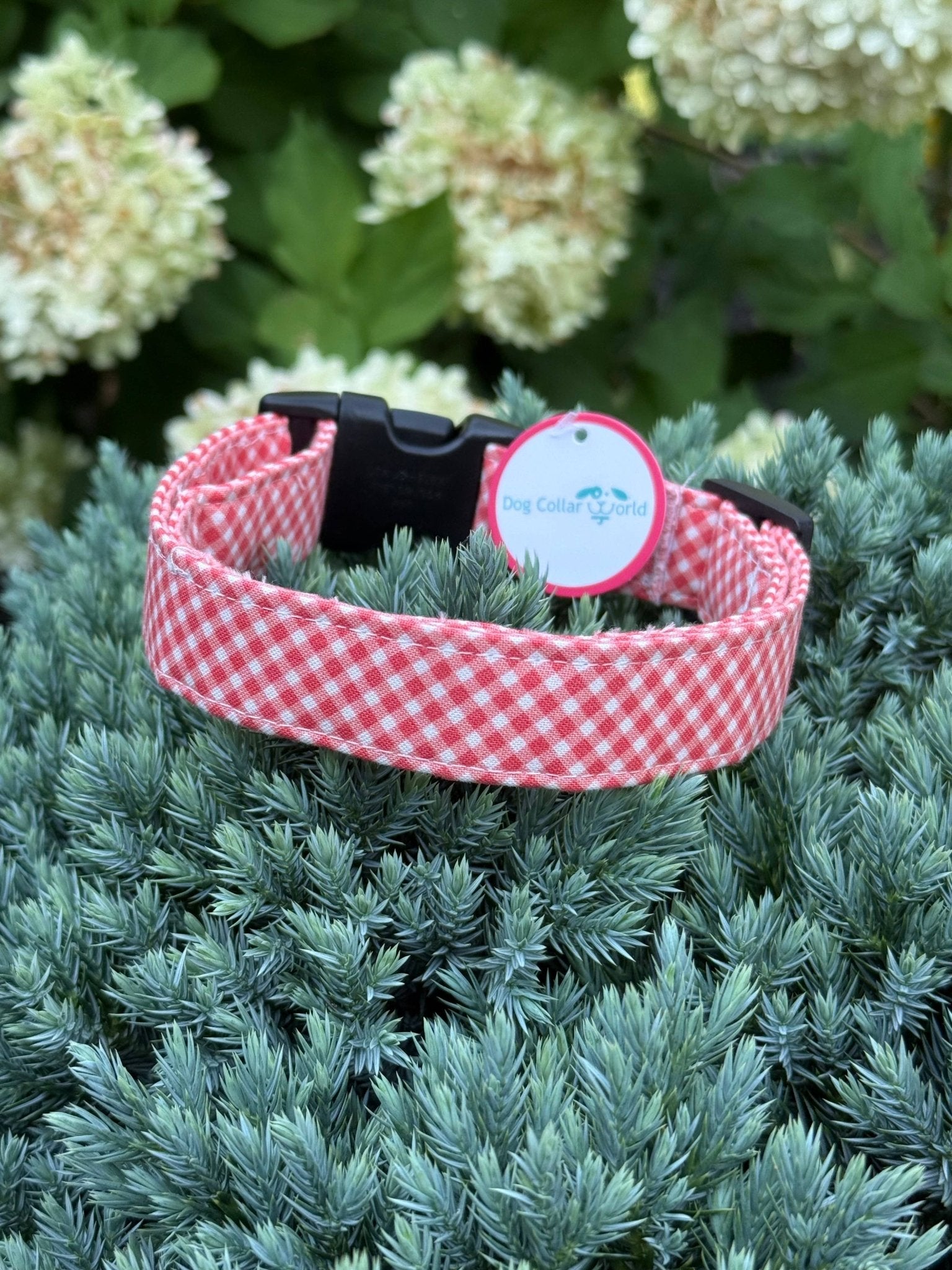 Coral Gingham Limited Edition Collar for Dogs or Cats - Doglicious Bakery Bites