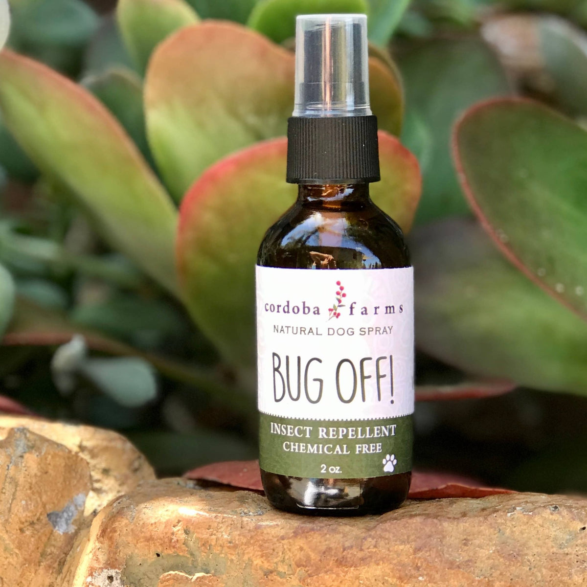Cordoba Farms - BUG OFF Insect Repelling Spray - Doglicious Bakery Bites