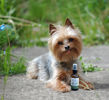 Cordoba Farms - BUG OFF Insect Repelling Spray - Doglicious Bakery Bites