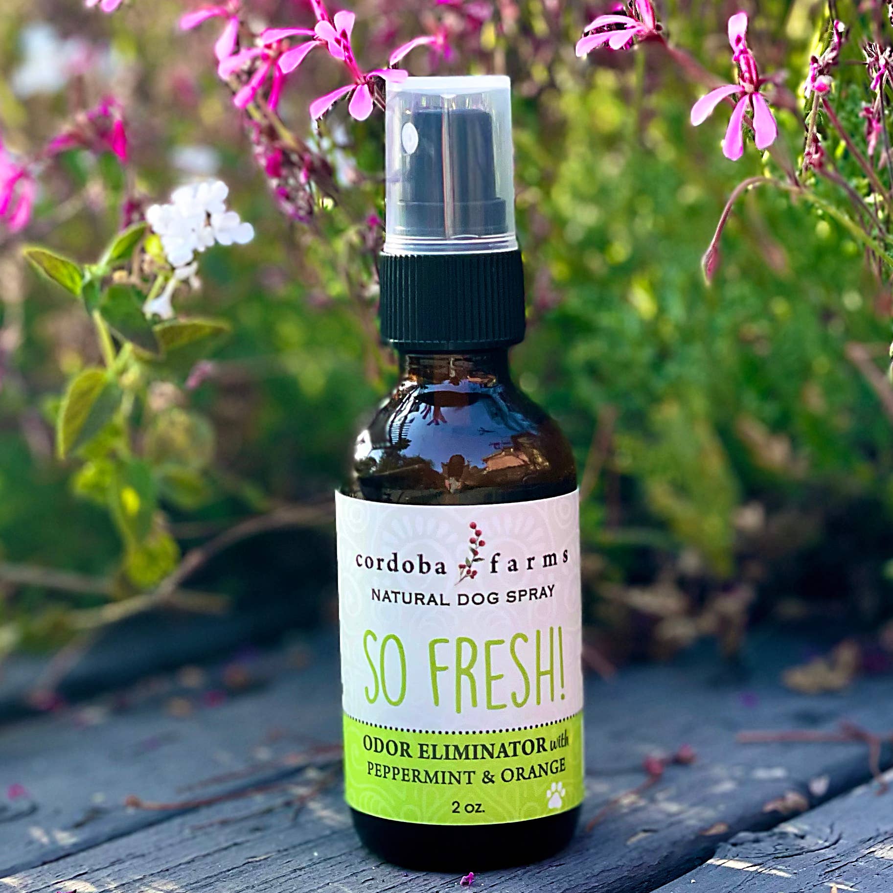 Cordoba Farms - ORIGINAL DEODORIZER with sweet orange & peppermint - Doglicious Bakery Bites