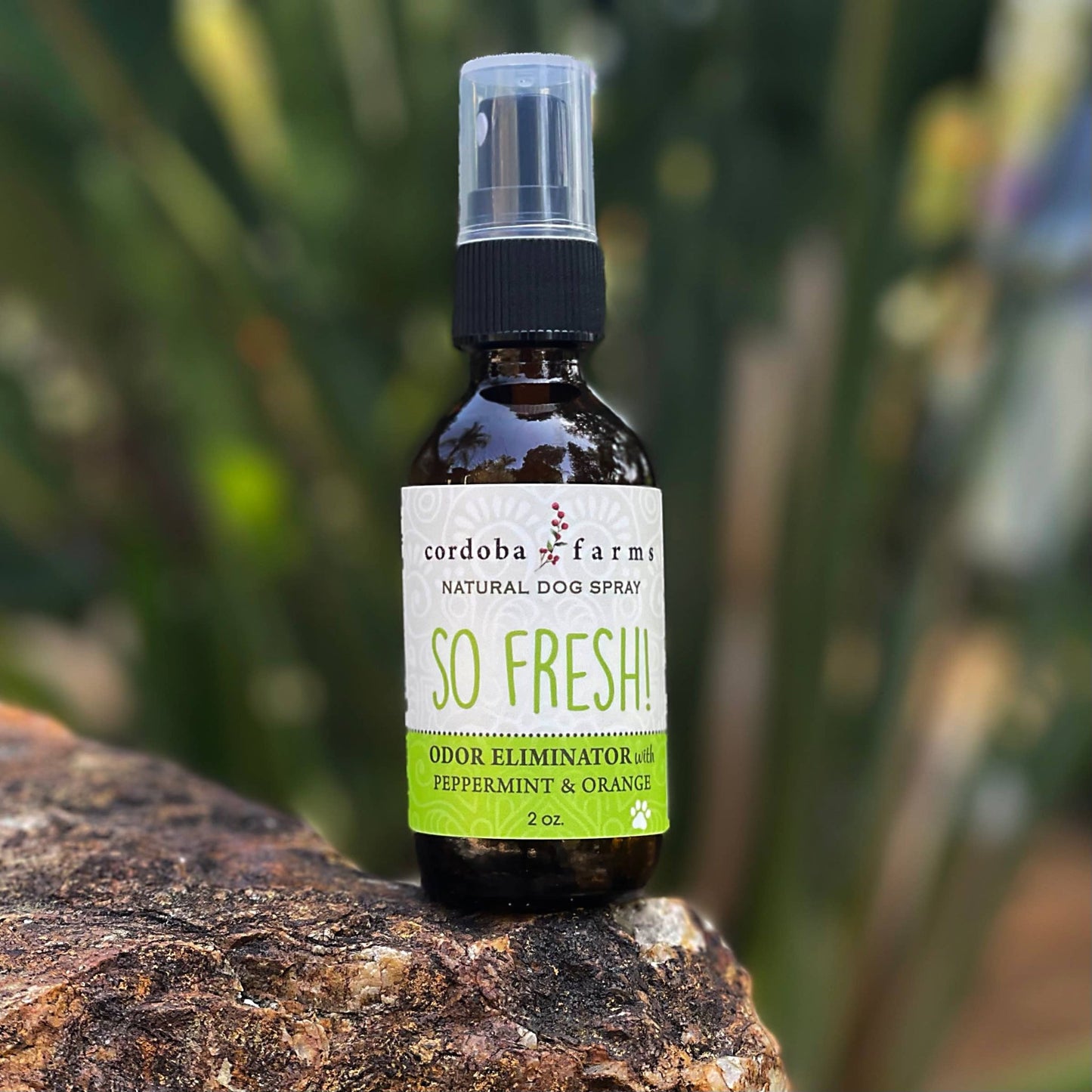 Cordoba Farms - ORIGINAL DEODORIZER with sweet orange & peppermint - Doglicious Bakery Bites