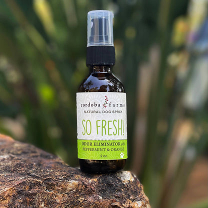 Cordoba Farms - ORIGINAL DEODORIZER with sweet orange & peppermint - Doglicious Bakery Bites