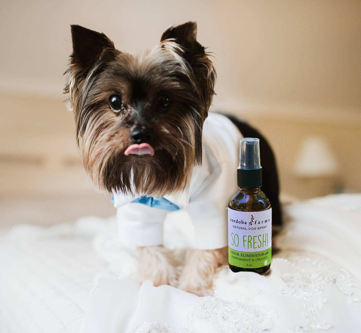 Cordoba Farms - ORIGINAL DEODORIZER with sweet orange & peppermint - Doglicious Bakery Bites