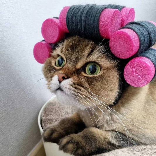 Curly Hair Wig for Dogs & Cats – Pet Costume Hat - Doglicious Bakery Bites