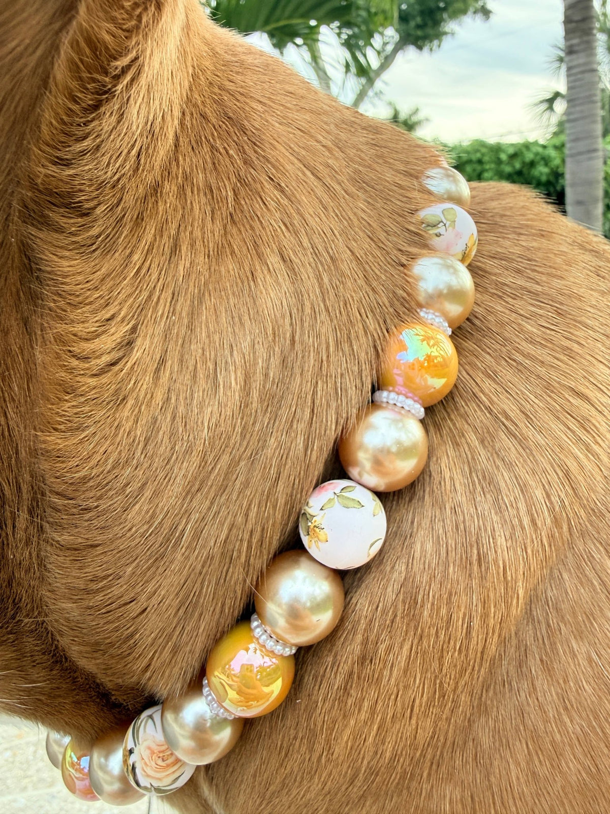 Dainty Paws - 1930s Satin Soirée | Beaded Dog Collar - Doglicious Bakery Bites