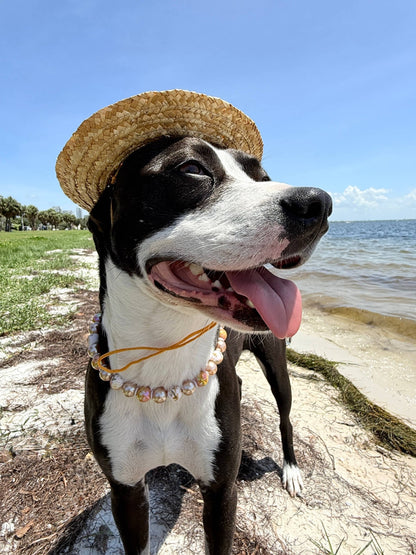 Dainty Paws - 1930s Satin Soirée | Beaded Dog Collar - Doglicious Bakery Bites