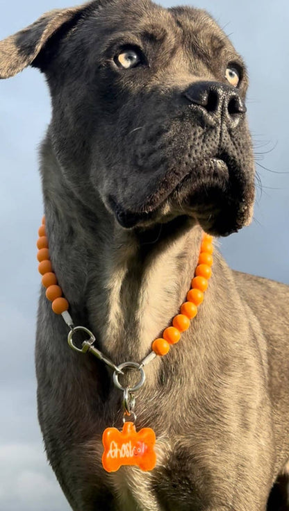 Dainty Paws - Apricot Harvest | Beaded Dog Collar - Doglicious Bakery Bites