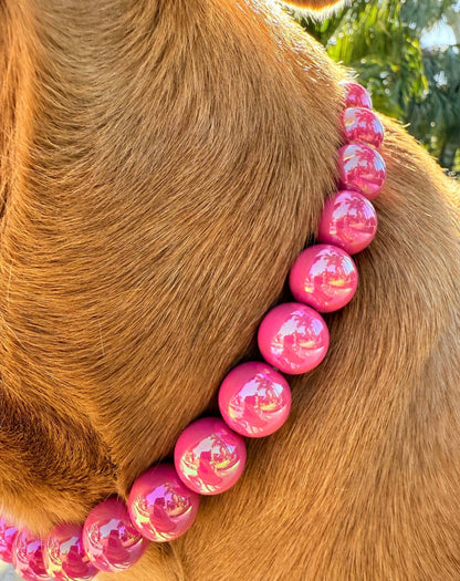 Dainty Paws - Pink Pop! | Beaded Dog Collar - Doglicious Bakery Bites
