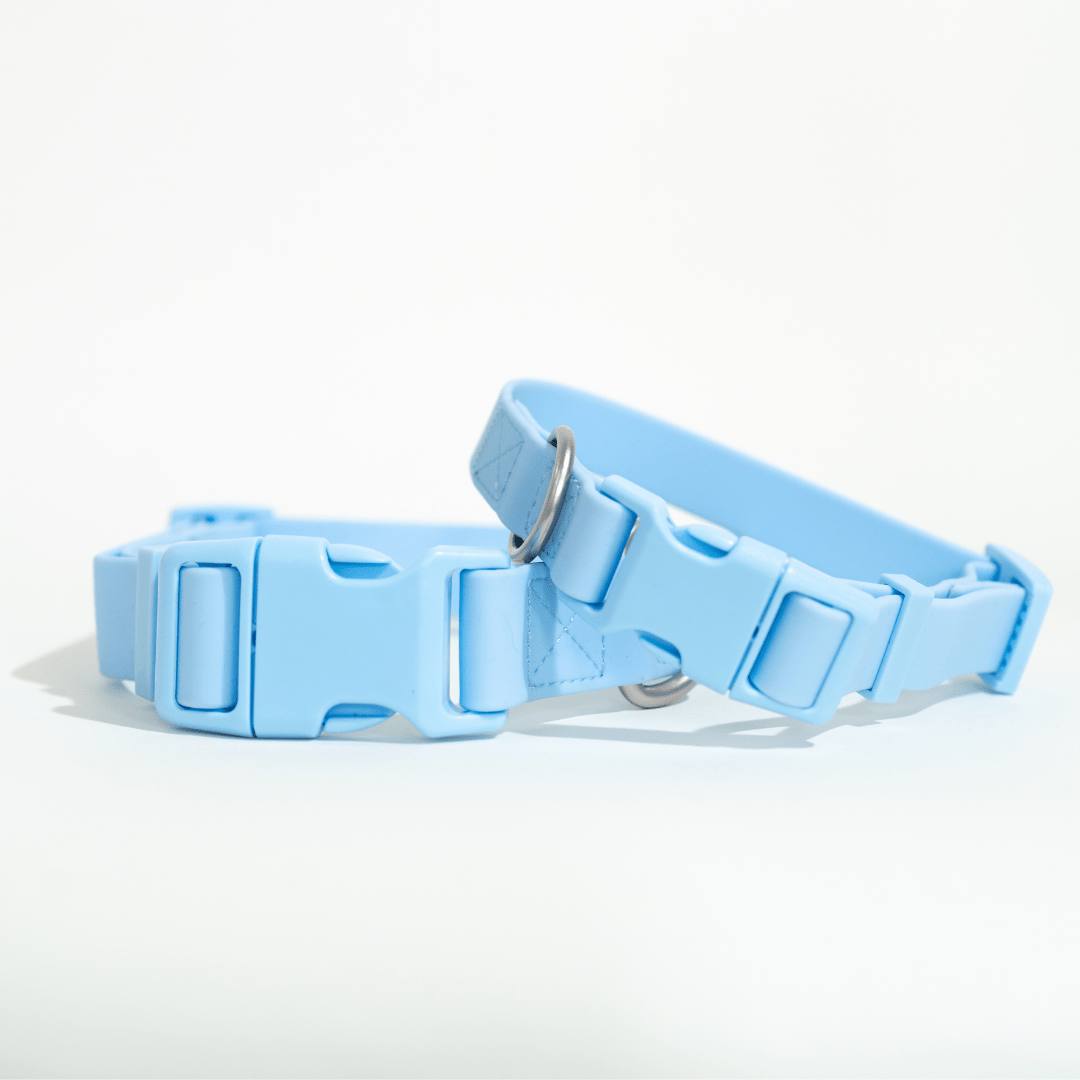 Dog Collar - All - Weather, Adjustable - Doglicious Bakery Bites