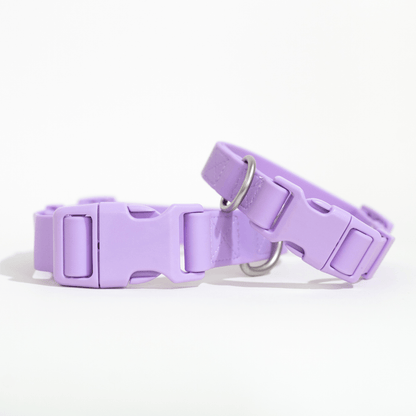 Dog Collar - All - Weather, Adjustable - Doglicious Bakery Bites