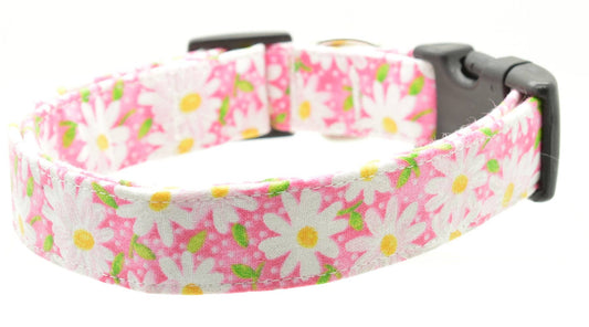 Dog Collar World - Pink Daisy Collar - Doglicious Bakery Bites