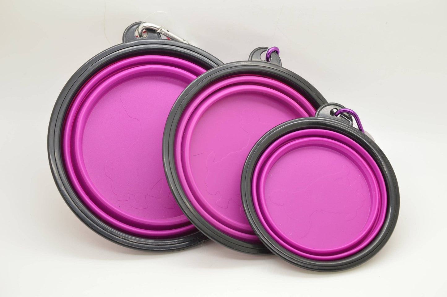 Dog Collar World - Pop Up Bowl - Doglicious Bakery Bites