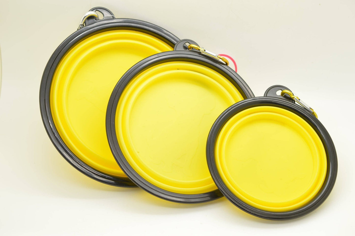 Dog Collar World - Pop Up Bowl - Doglicious Bakery Bites