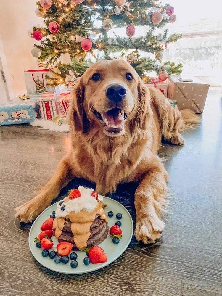 Dog Pancakes Superberry Snoot Pooch Pancakes / Cake - Doglicious Bakery Bites