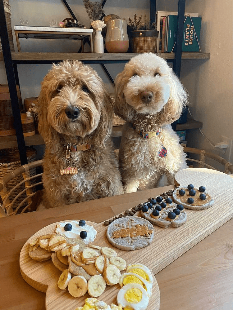 Dog Pancakes Superberry Snoot Pooch Pancakes / Cake - Doglicious Bakery Bites