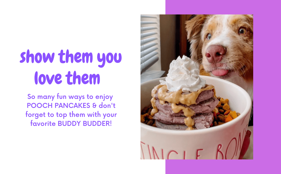 Dog Pancakes Superberry Snoot Pooch Pancakes / Cake - Doglicious Bakery Bites