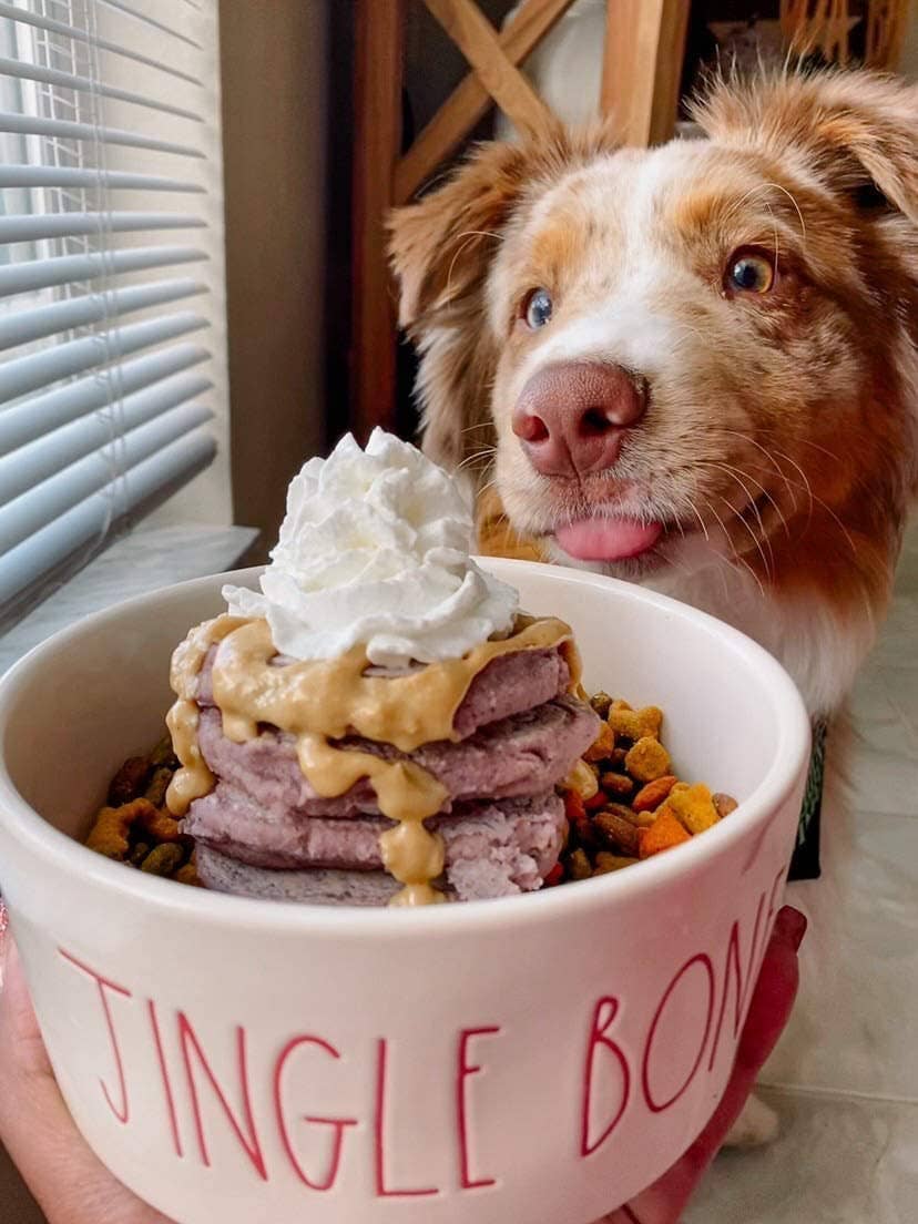 Dog Pancakes Superberry Snoot Pooch Pancakes / Cake - Doglicious Bakery Bites