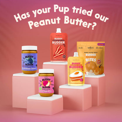 Dog Peanut Butter - 4oz Squeeze Packs Beehive Buzz Budder - Doglicious Bakery Bites