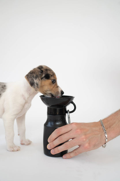 Dog Travel Water Bottle, 15oz, Mini - Doglicious Bakery Bites
