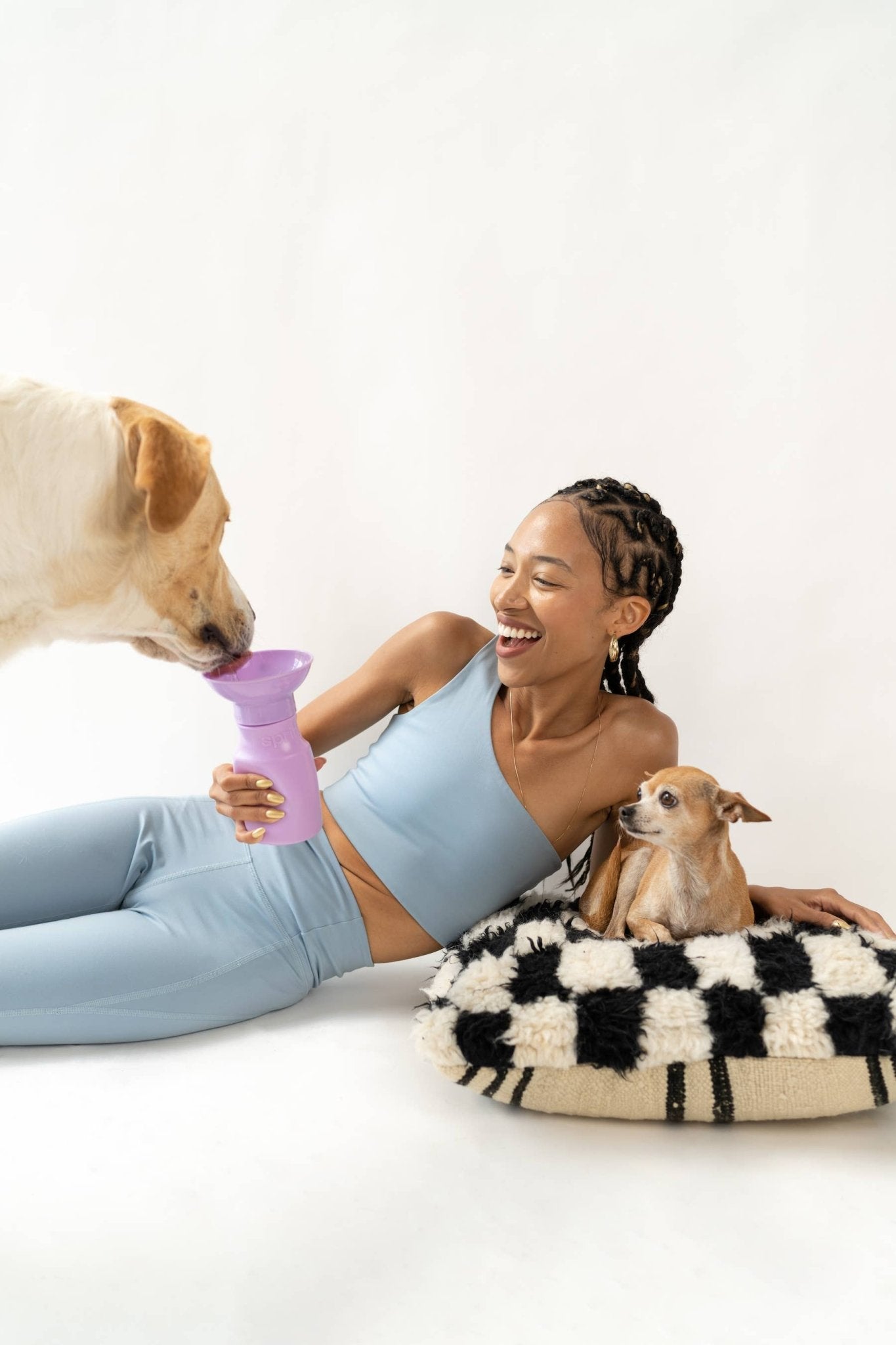 Dog Travel Water Bottle, 15oz, Mini - Doglicious Bakery Bites
