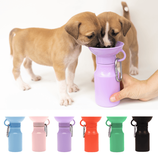 Dog Travel Water Bottle, 15oz, Mini - Doglicious Bakery Bites