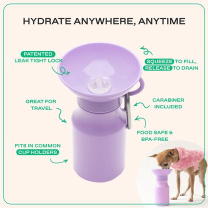 Dog Travel Water Bottle, 15oz, Mini - Doglicious Bakery Bites