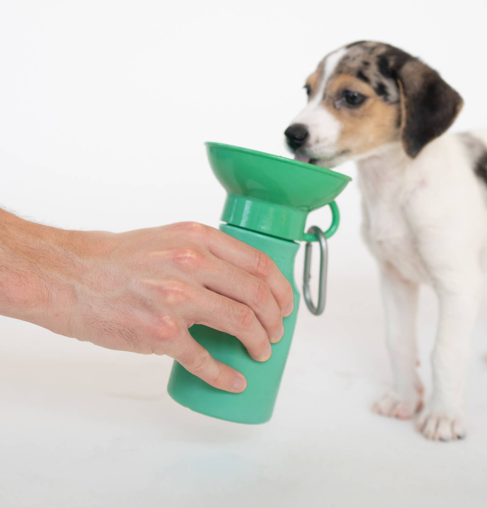 Dog Travel Water Bottle, 15oz, Mini - Doglicious Bakery Bites