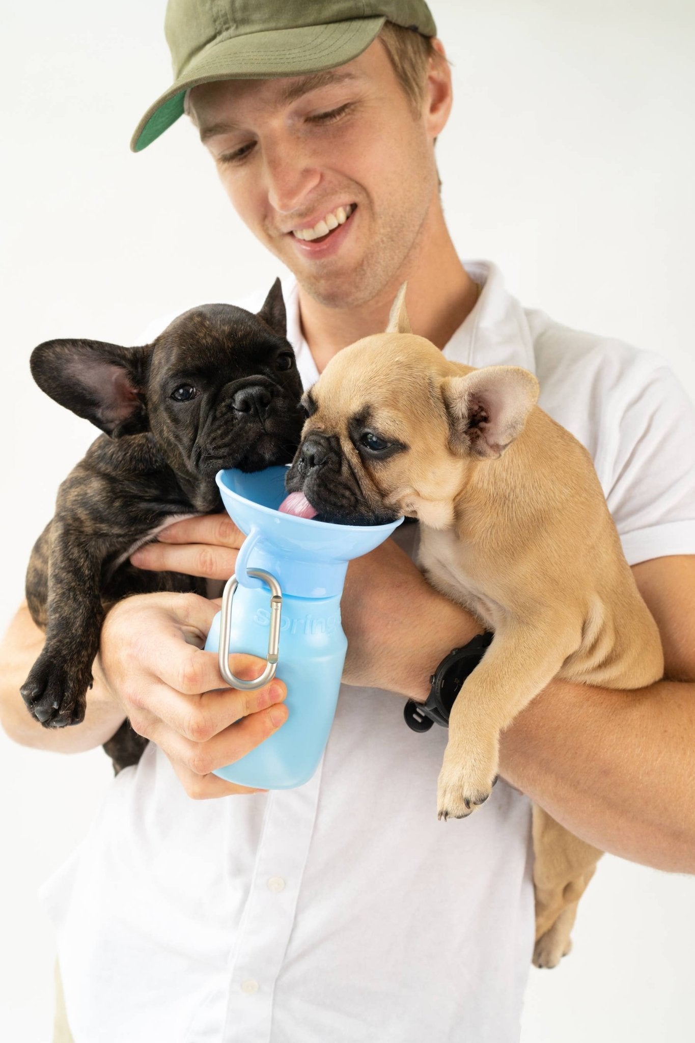 Dog Travel Water Bottle, 15oz, Mini - Doglicious Bakery Bites