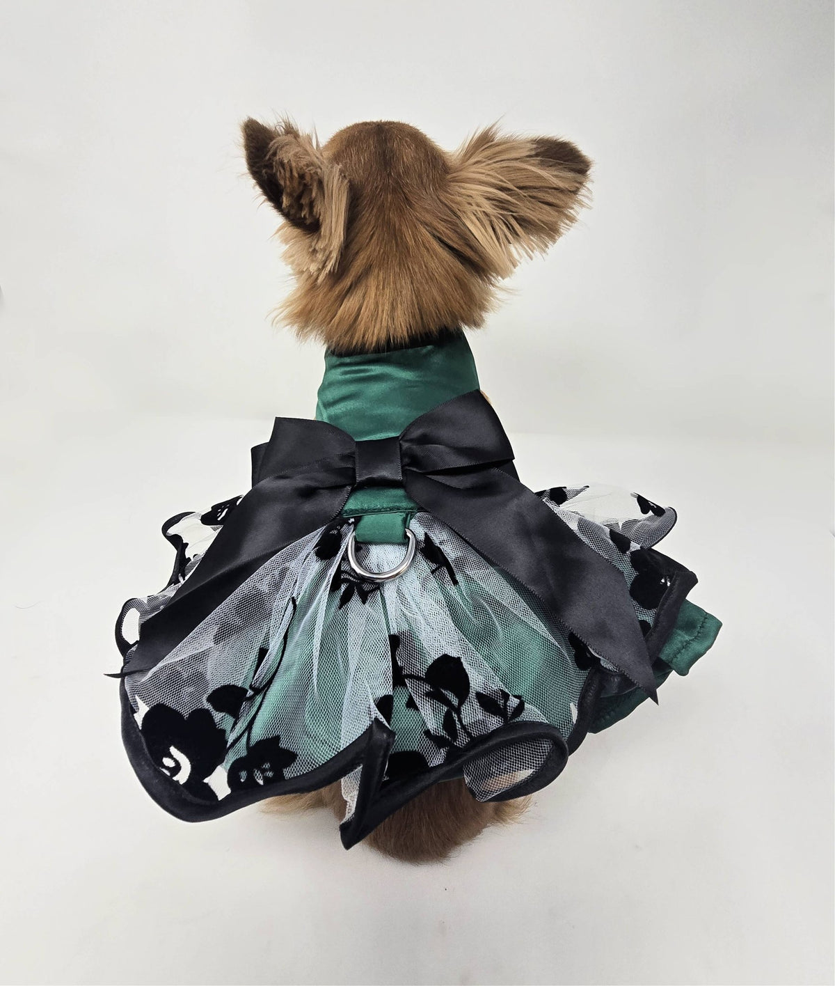 Doggie Design - Green and Black Satin Dress - Doglicious Bakery Bites