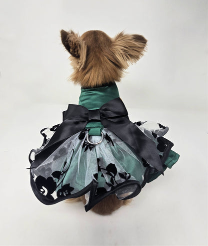 Doggie Design - Green and Black Satin Dress - Doglicious Bakery Bites