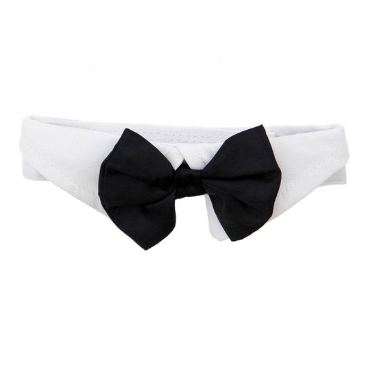 Doggie Design - White Collar with Black Satin Bow Tie - Doglicious Bakery Bites