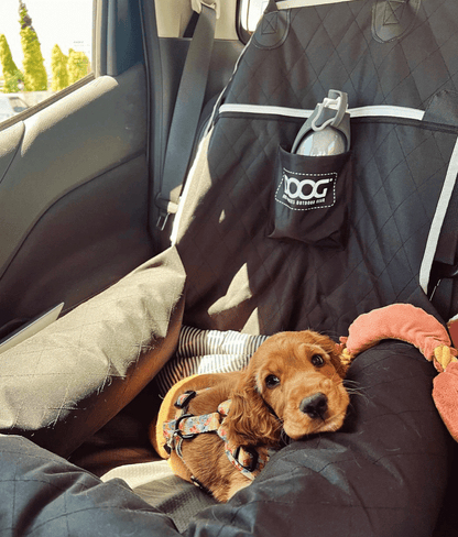 DOOG Car Seat - BLACK - Doglicious Bakery Bites