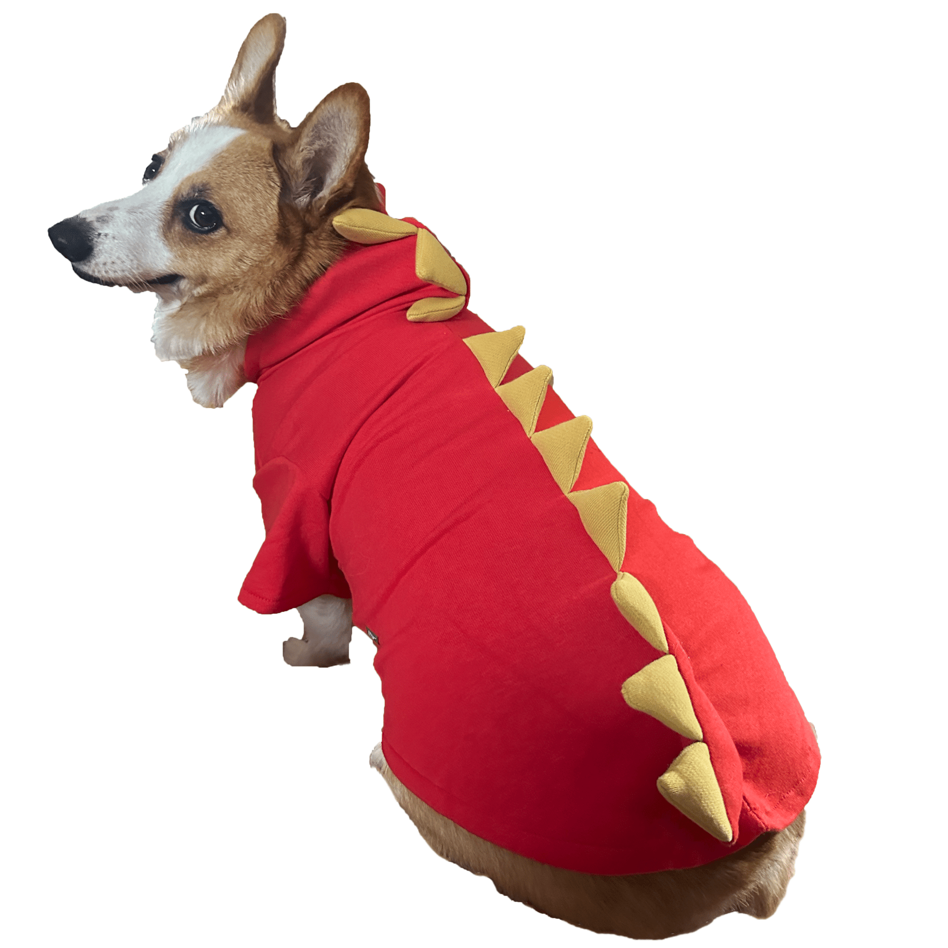 Dragon Sweatshirt - Doglicious Bakery Bites
