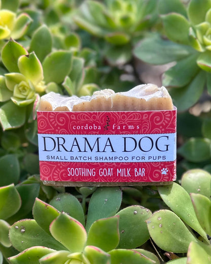 DRAMA DOG Soothing Goat Milk Shampoo - Doglicious Bakery Bites