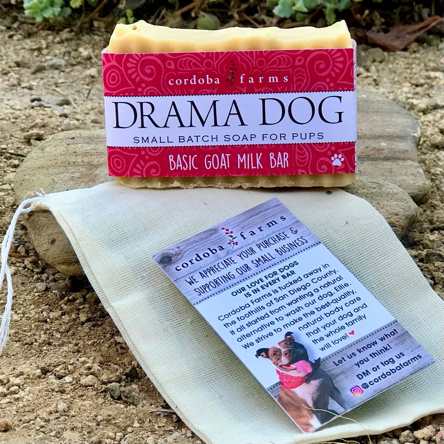 DRAMA DOG Soothing Goat Milk Shampoo - Doglicious Bakery Bites