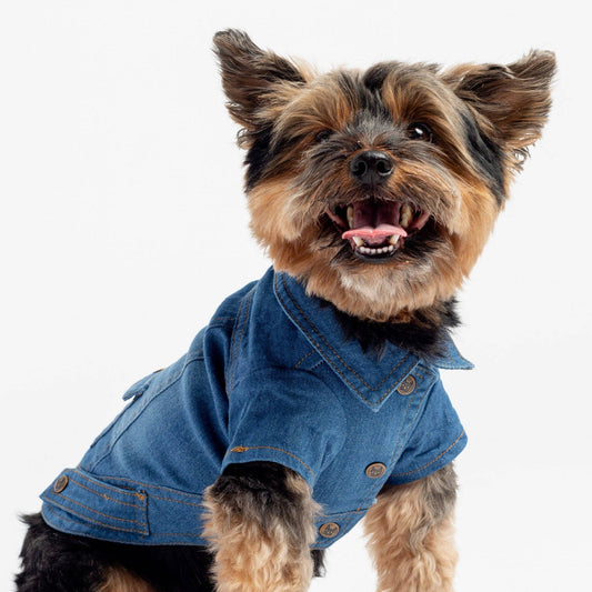 Dusten Denim Dog Jacket - Doglicious Bakery Bites