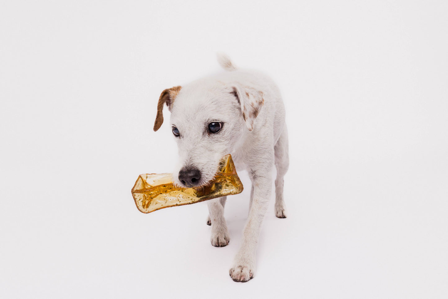 Mighty Marrows Collagen Dental Chew - Bacon - 2 Sizes