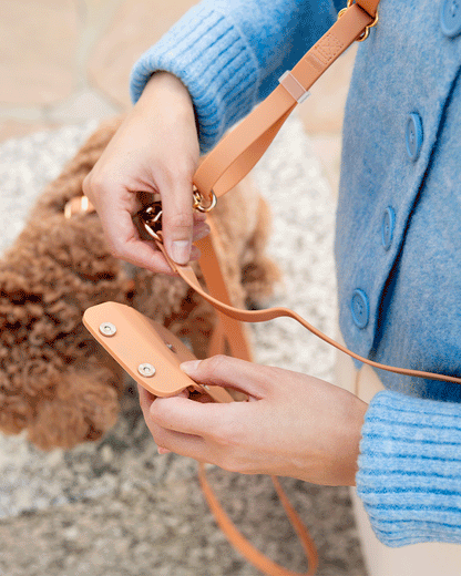 SUNNY TAILS - Mulberry Snap Dog Treat Pouch