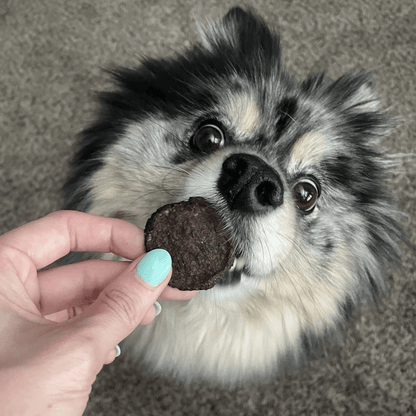Farm to Pet Healthy Treats for Dogs & Cats - Beef Chips Dog Treats - Doglicious Bakery Bites