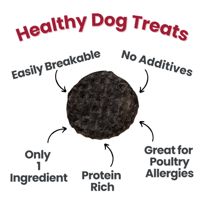 Farm to Pet Healthy Treats for Dogs & Cats - Beef Chips Dog Treats - Doglicious Bakery Bites
