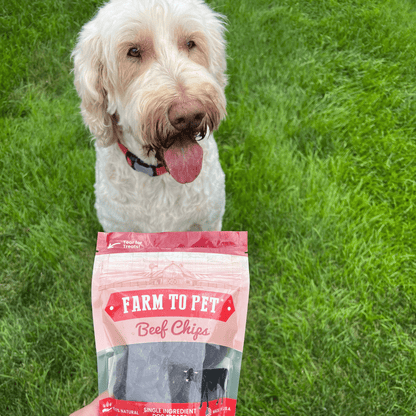 Farm to Pet Healthy Treats for Dogs & Cats - Beef Chips Dog Treats - Doglicious Bakery Bites