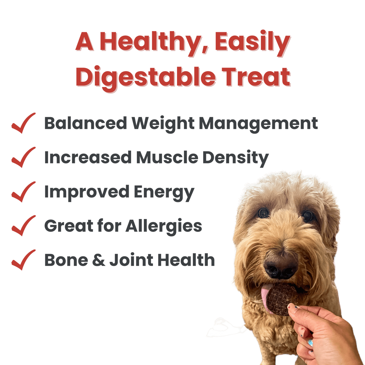 Farm to Pet Healthy Treats for Dogs & Cats - Beef Chips Dog Treats - Doglicious Bakery Bites