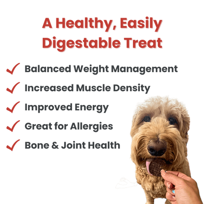Farm to Pet Healthy Treats for Dogs & Cats - Beef Chips Dog Treats - Doglicious Bakery Bites