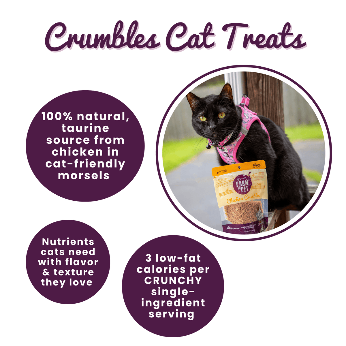 Farm to Pet Healthy Treats for Dogs & Cats - Chicken Crumbles Cat Treats - Doglicious Bakery Bites