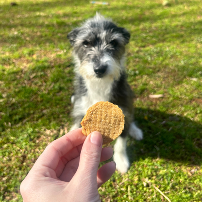 Farm to Pet Healthy Treats for Dogs & Cats - Fish Chips Dog Treats - Doglicious Bakery Bites