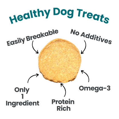Farm to Pet Healthy Treats for Dogs & Cats - Fish Chips Dog Treats - Doglicious Bakery Bites
