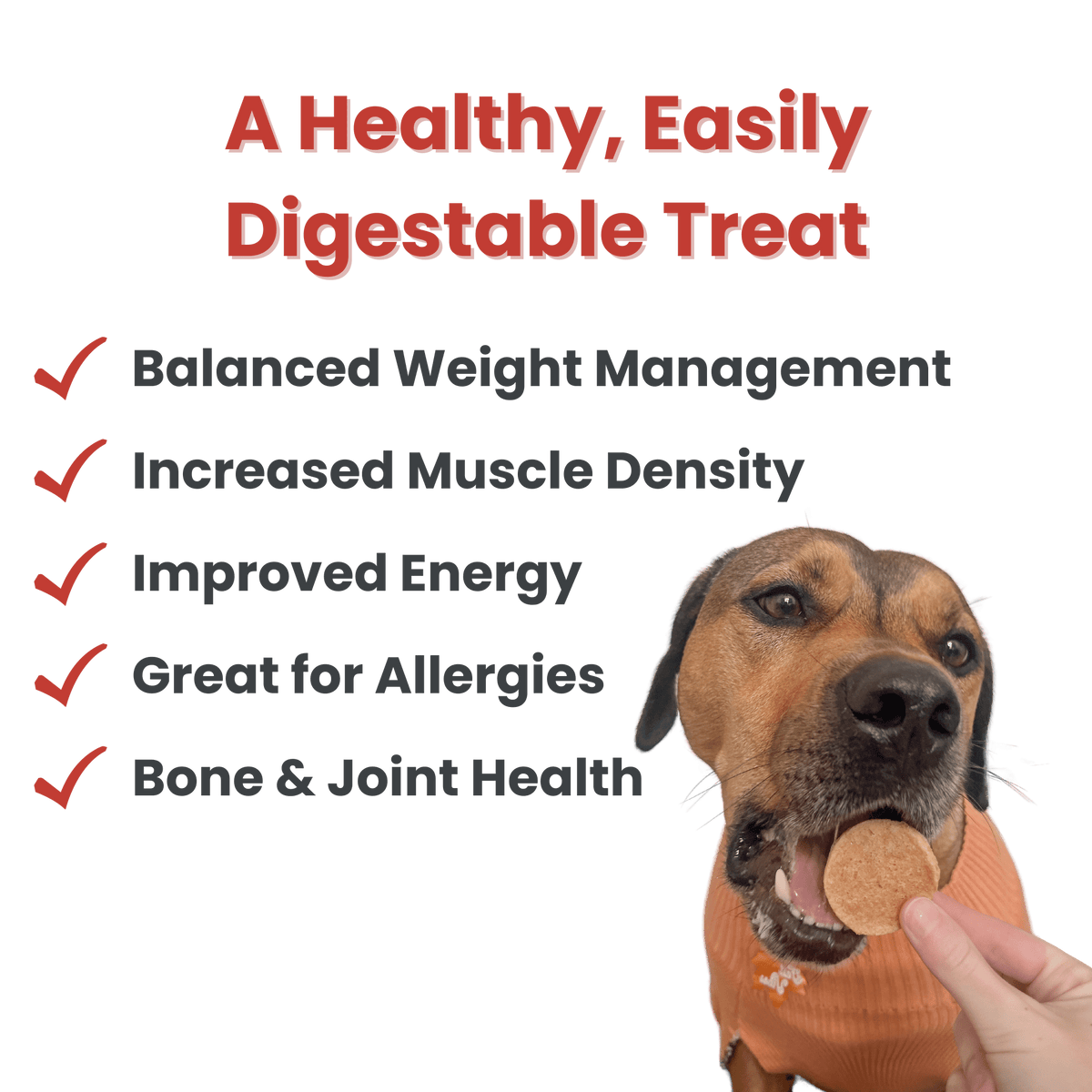 Farm to Pet Healthy Treats for Dogs & Cats - Fish Chips Dog Treats - Doglicious Bakery Bites