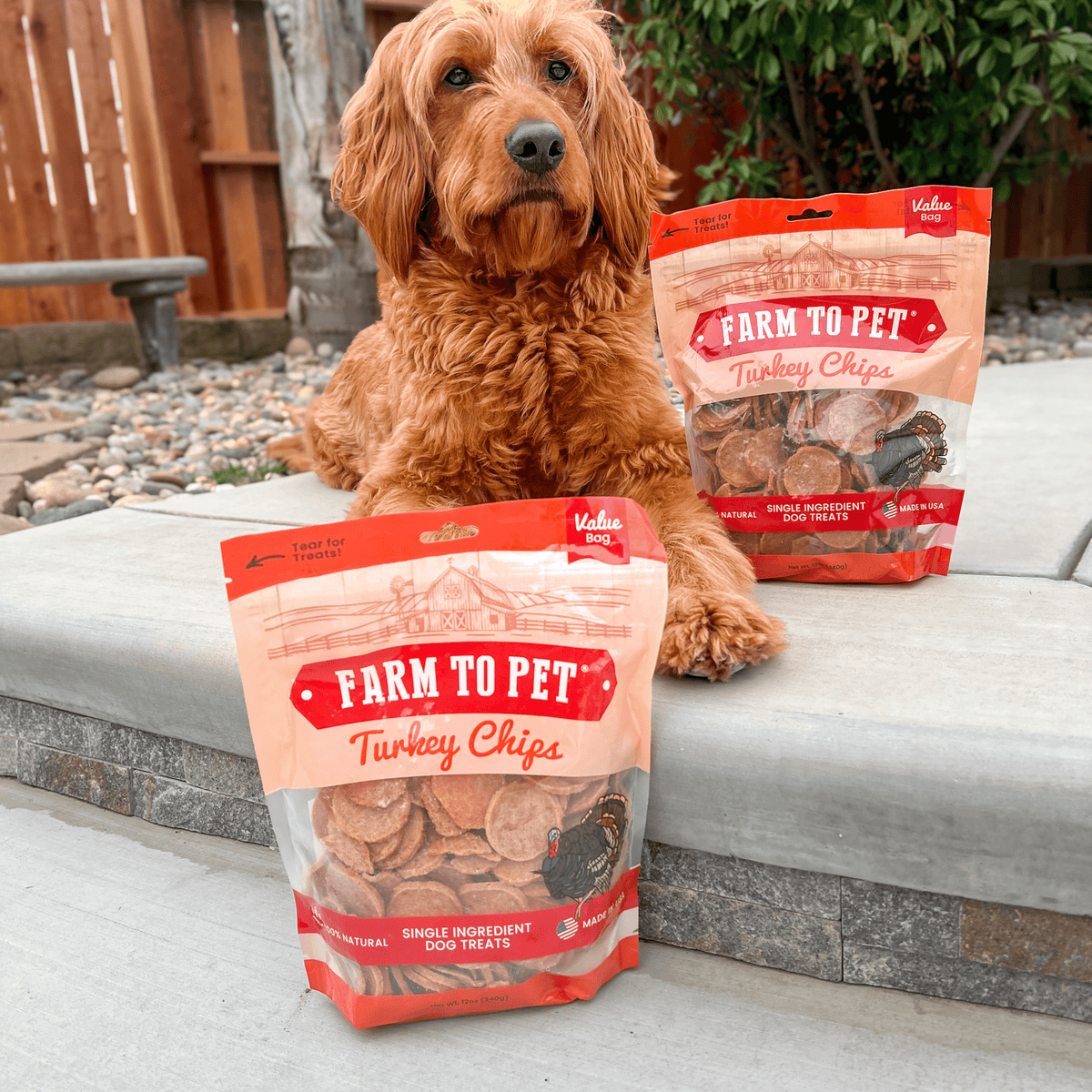 Farm to Pet Healthy Treats for Dogs & Cats - Turkey Chips Dog Treats - Doglicious Bakery Bites