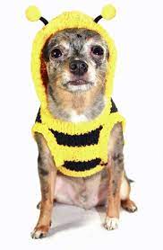 Barker's Bowtique - Bumble Bee Chenille Sweater