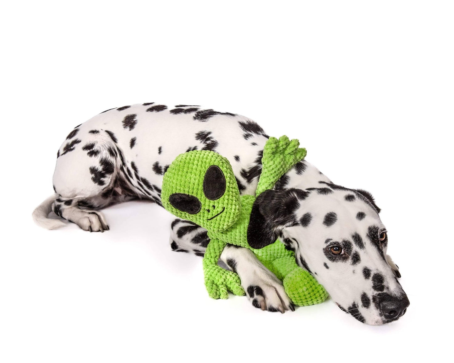 Floppy Alien - Doglicious Bakery Bites